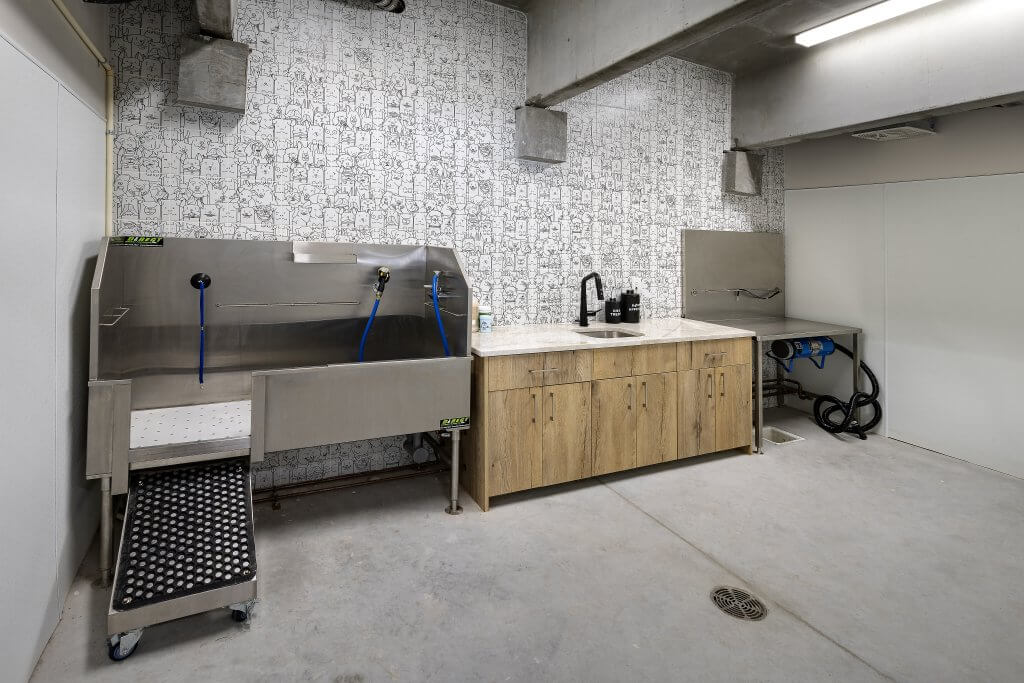 ajax at askarben interior amenity pet spa 01